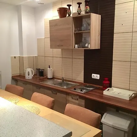 Apartment Anton Panorama *