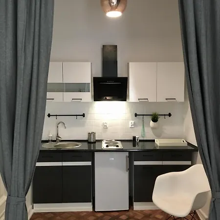 Apartment Anton Panorama *